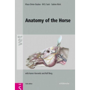 Anatomy of the Horse