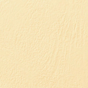 GBC Karton za vezavo a4 1/100 relief ivory-krem ce040065