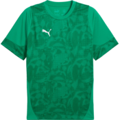 Dres Puma teamCUP Training Jersey