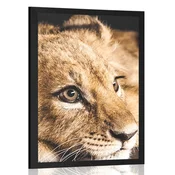 Plakat levji mladič - 60x90 silver