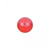 Pilates Lopta RING 55cm