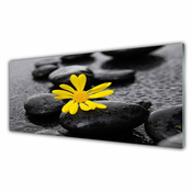 tulup.si Slika na akrilnem steklu Yellow flower nature spa 125x50 cm 4 obešalnika