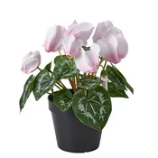 FEJKA Umetna lončnica, notranji/zunanji Sobna ciklama/svetlo roza, 12 cm