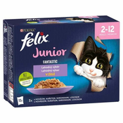 Felix Fantastic Junior ukusni izbor 12 x 85 g