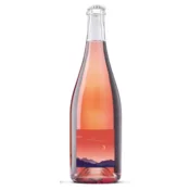 Sanctum Peneče vino PET-NAT Modri Pinot 0,75 l