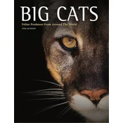 Big Cats