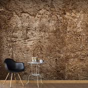 Foto tapeta - Cave of Time 300x210