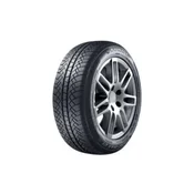 SUNNY 175/70 R14 88T NW611 XL