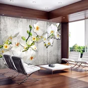 Foto tapeta - With saffron accent 150x105