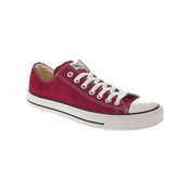 Converse Chuck Taylor all star Ox moške superge maroon Gr. 37.0 EU