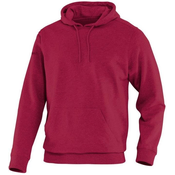 Mikica s kapuco jako team hoody dunkel
