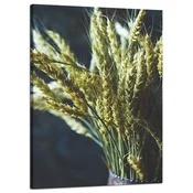 shumee Platno Botanika Koruzni klasji v vazi 50x70 cm