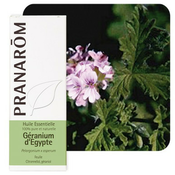 PRANAROM ETERICNO ULJE GERANIJ EGIPATSKI 10 ML