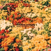 Brendan Canning - Home Wrecking Years (LP)