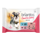 Briantos vrecice probno mješovito pakiranje 4 x 100 g - Chunks in Gravy (losos; govedina)