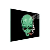shumee STEKLENA DESKA ZA REZANJE 52x40 UFO