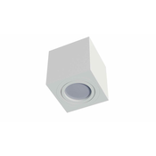 LED Labs Stropna nadometna svetilka NORD - bela
