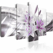 Slika - Crystal Finesse 100x50