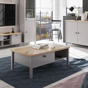 Homestyle4U Klubska mizica, 110x40,5x60 cm, siva, s prostorom za shranjevanje