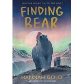 Finding Bear