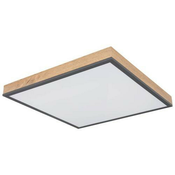 Globo STROPNA LED-SVETILKA