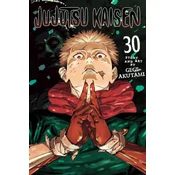Jujutsu Kaisen, Vol. 30