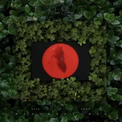 Moses Sumney - Live From Blackalachia (Limited Edition) (Clear Green Coloured) (2 LP)