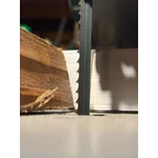 Tračni listi za les 3634/10x0,5/4-Skip Dudrsaw