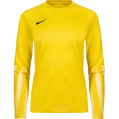 Nike Dres z dolgimi rokavi Dri-FIT Park V Goalkeeper Long Sleeve Women