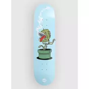 Jart Stay High Pakkun Flower 8.125X31.60 Hc Ska uni