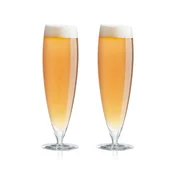 Komplet kozarcev za pivo Eva Solo 0,5 L 6-pack