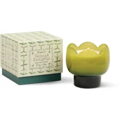 Paddywax Tulip Verbena & Lemongrass dišeča sveča 155 g