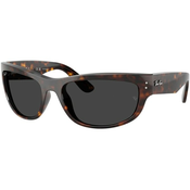 RAY-BAN RB2289 902/48