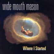 Wide Mouth Mason - Where I Started (Limited Edition) (LP)