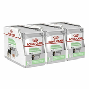 Royal Canin Digestive Care Dog Loaf vrečka s pašteto za pse z občutljivo prebavo 36 x 85 g