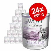 Varčno pakiranje Little Wolf of Wilderness 24 x 800 g - Blue River Junior - piščanec & losos