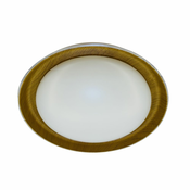 Lesnina STROPNA LED-SVETILKA