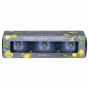 Yankee Candle Set Black Tea & Lemon - Mirisna svijeca, 3 ? 37 g