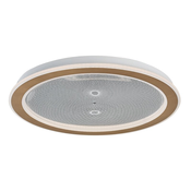 RABALUX Efrael 71282 LED plafonjera