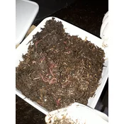 Kalifornijske gliste - Mini leglo 10 litara