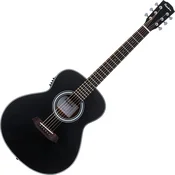 Pasadena PT-100E Black Ostale elektroakustične (Kot novo)