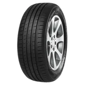Minerva F209 ( 205/70 R14 95T)