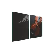 shumee Steklena zaščitna plošča za štedilnik 2x45x52 Music