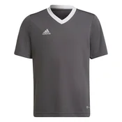 Adidas Majice siva Entrada 22 Jsy