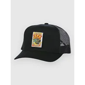 Rip Curl Custom Curve Trucker Cap black