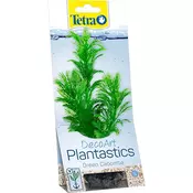 Tetra Rastlina Green Cabomba L