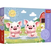 Puzzle 30 prase