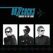Buzzcocks - Sonics In The Soul (LP)