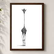 WallXpert uramljena MDF slika 3752KACT-054, crno-bela žirafa dugog vrata na beloj pozadini, 37 x 52 cm