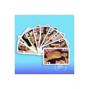 Strip poker - karte za igranje ORION02074